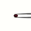 Natural Oval Cut Ruby Loose Gemstone Custom Setting Available LSG705